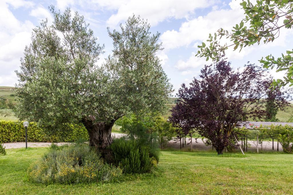 La Leopoldina Holiday Home 몬타이오네 외부 사진